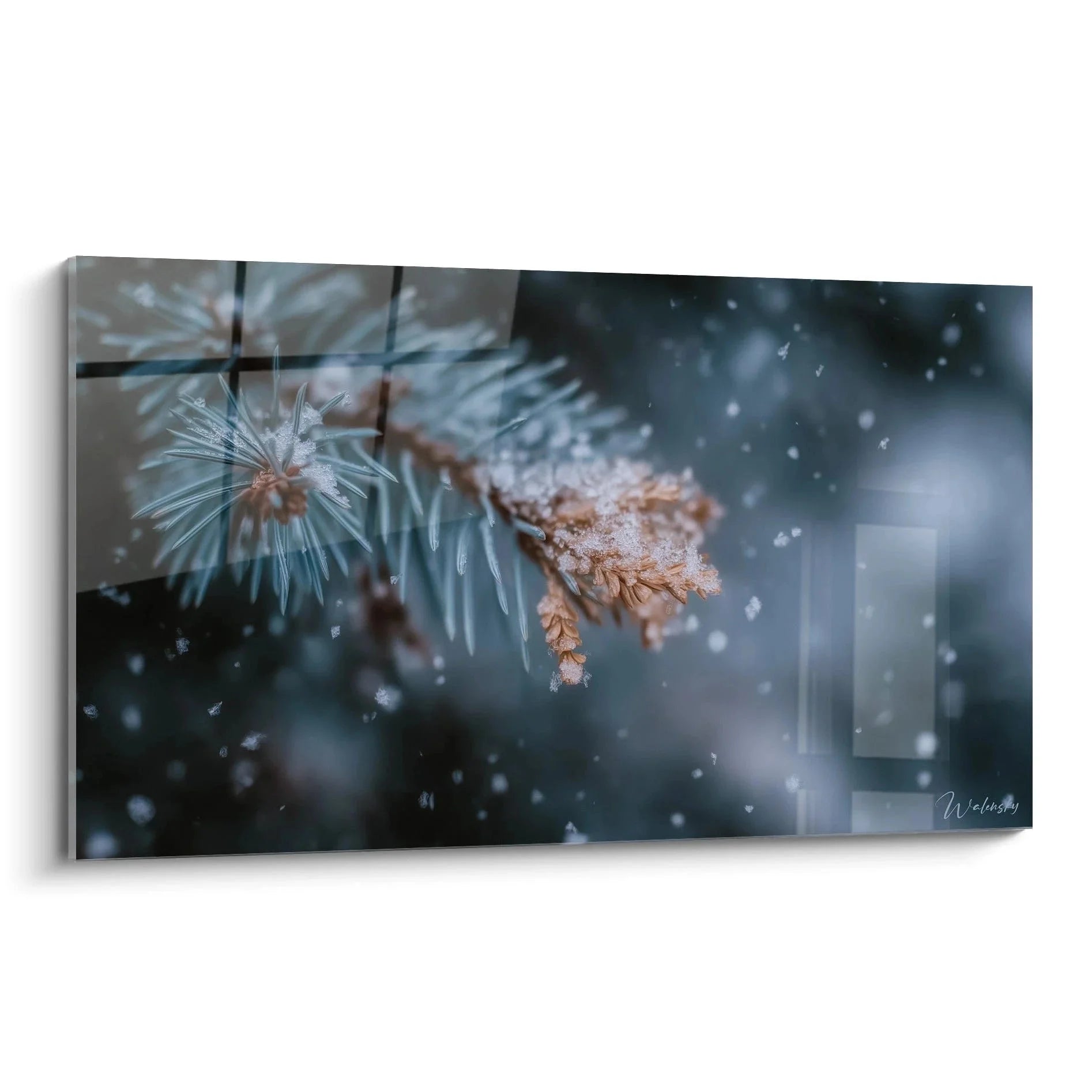 Wandbild Tannenzweig mit Schneeflocken im winterlichen Ambiente - Edition Winter Wanddekoration