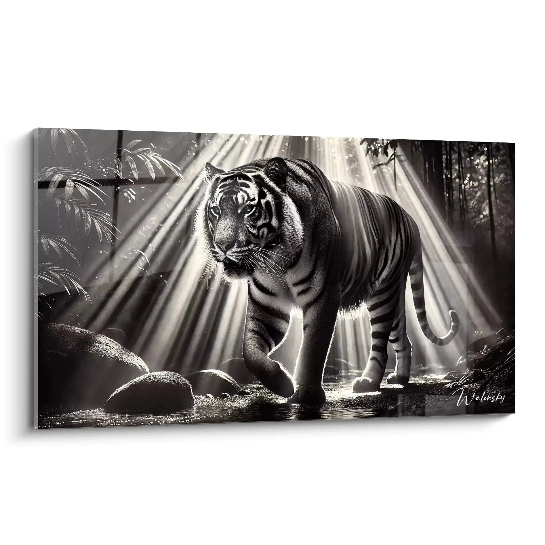 Wandbild Tiger schwarz-weiß - Majestätische Raubkatze im Dschungel mit dramatischen Sonnenstrahlen