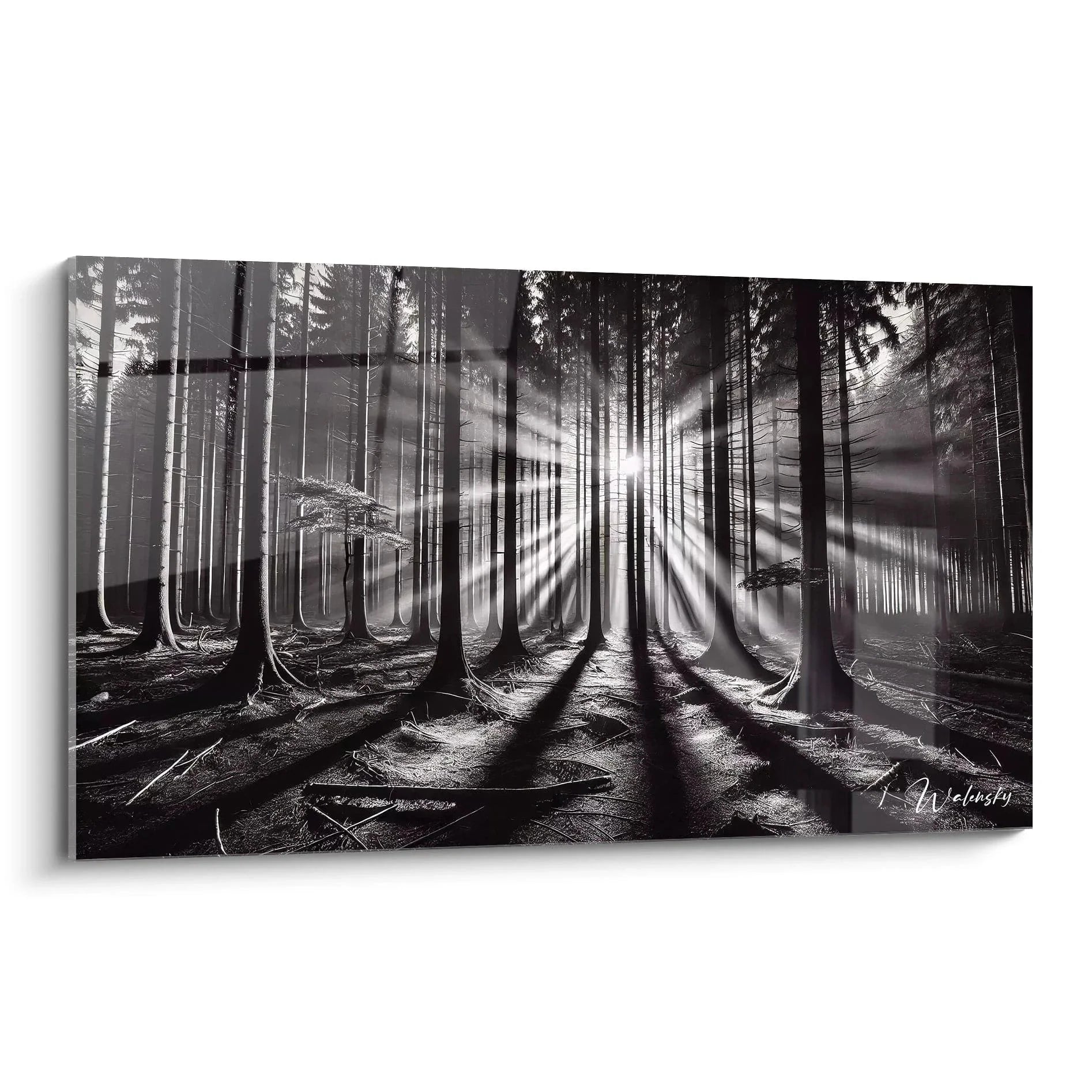 Wandbild Wald schwarz-weiß mit dramatischen Sonnenstrahlen durch Baumkronen - mystische Waldlandschaft