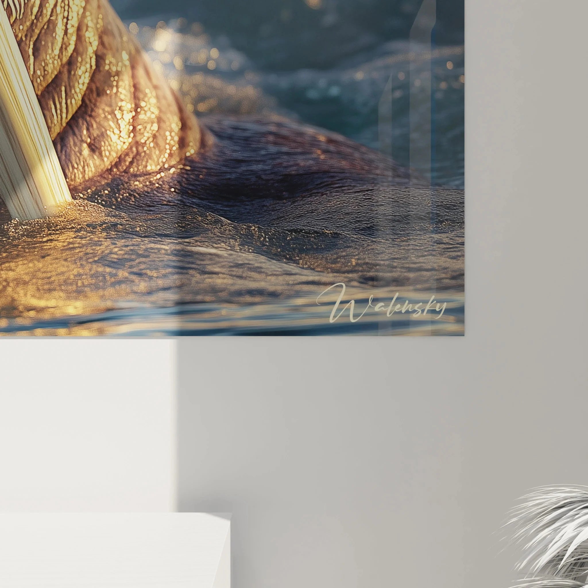 Walross Wandbild Gesamtansicht - komplette Darstellung des Meeresriesen in Wohnambiente