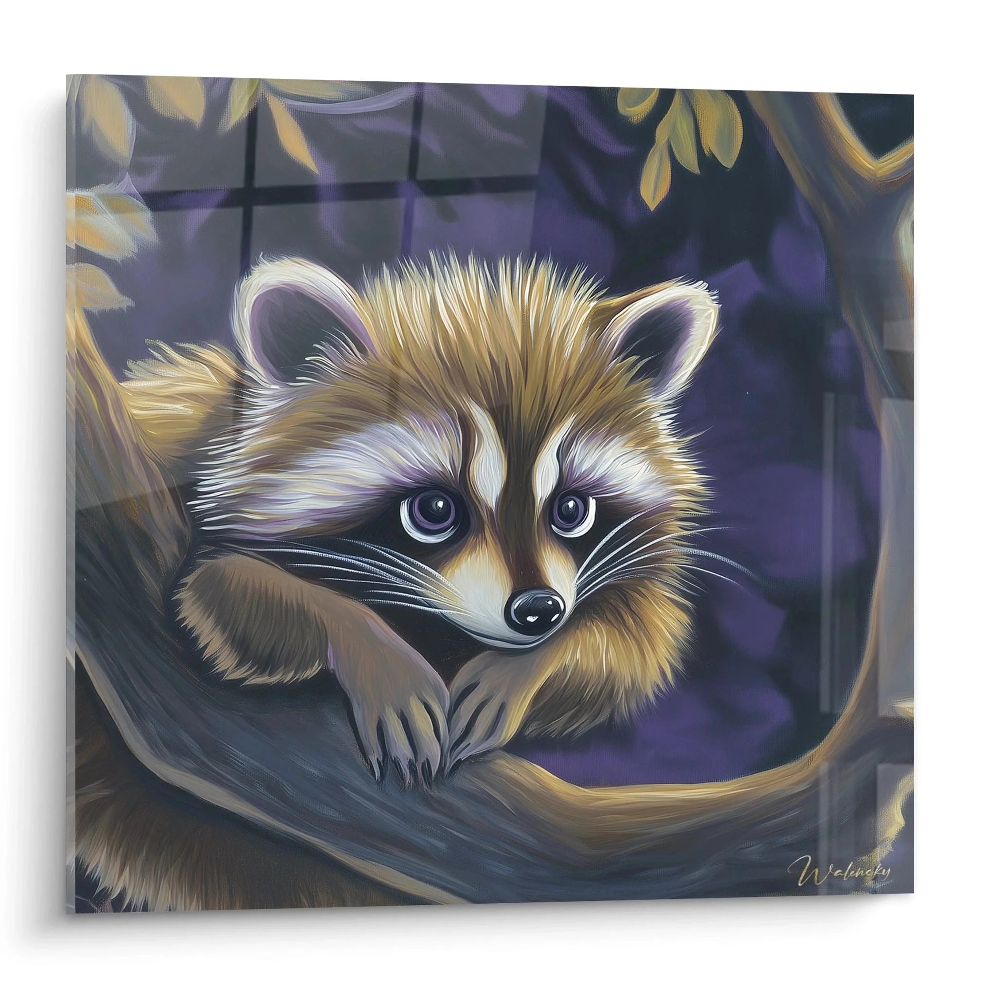 Wandbild Waschbär im Baum mit blauen Augen und nächtlichem Waldambiente - Edition Waschbär Kunstdruck