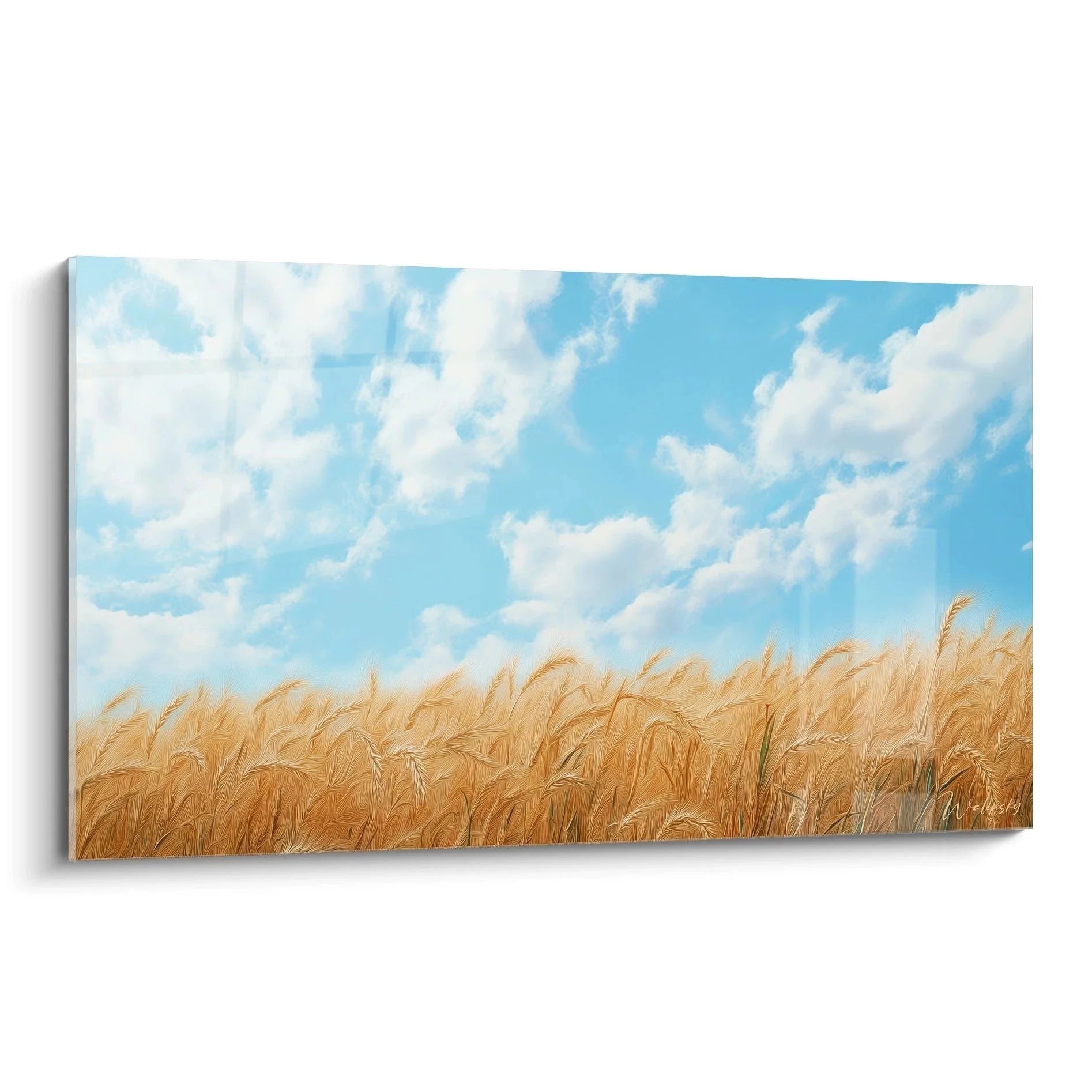 Wandbild Weizenfeld mit goldenen Ähren unter blauem Himmel mit weißen Wolken, Leinwandbild Landschaft XXL