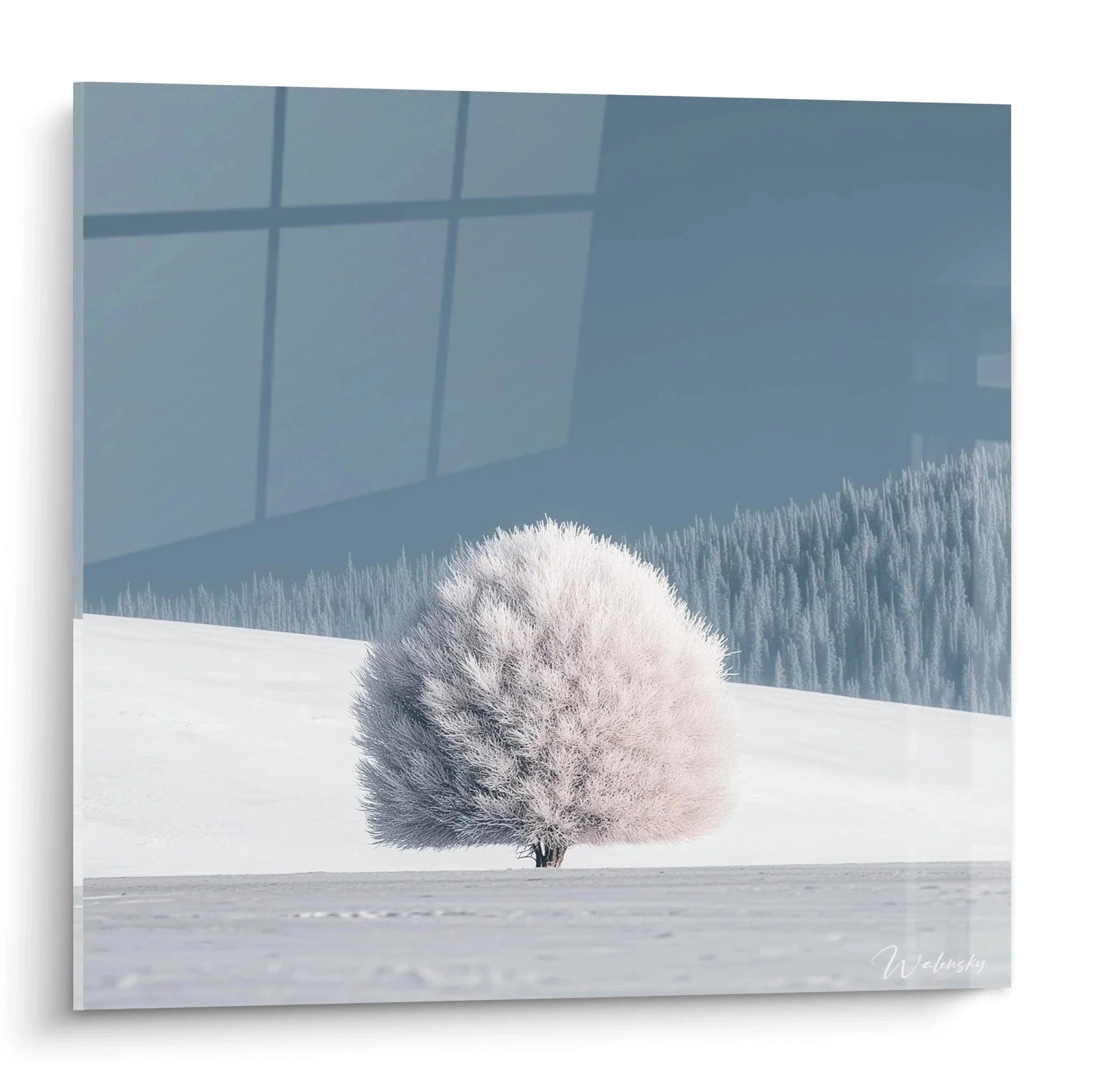 Wandbild einsamer Winterbaum vor verschneiter Berglandschaft durch Fenster betrachtet